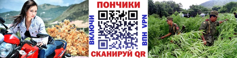 Где купить наркоту Нестеров ссылка на мегу ТОР  APVP  Codein  ГАШИШ  Конопля  Кокаин 