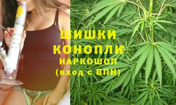 стафф Нефтекумск