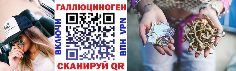 Галлюциногенные грибы Psilocybine cubensis  купить  сайты  Нестеров 